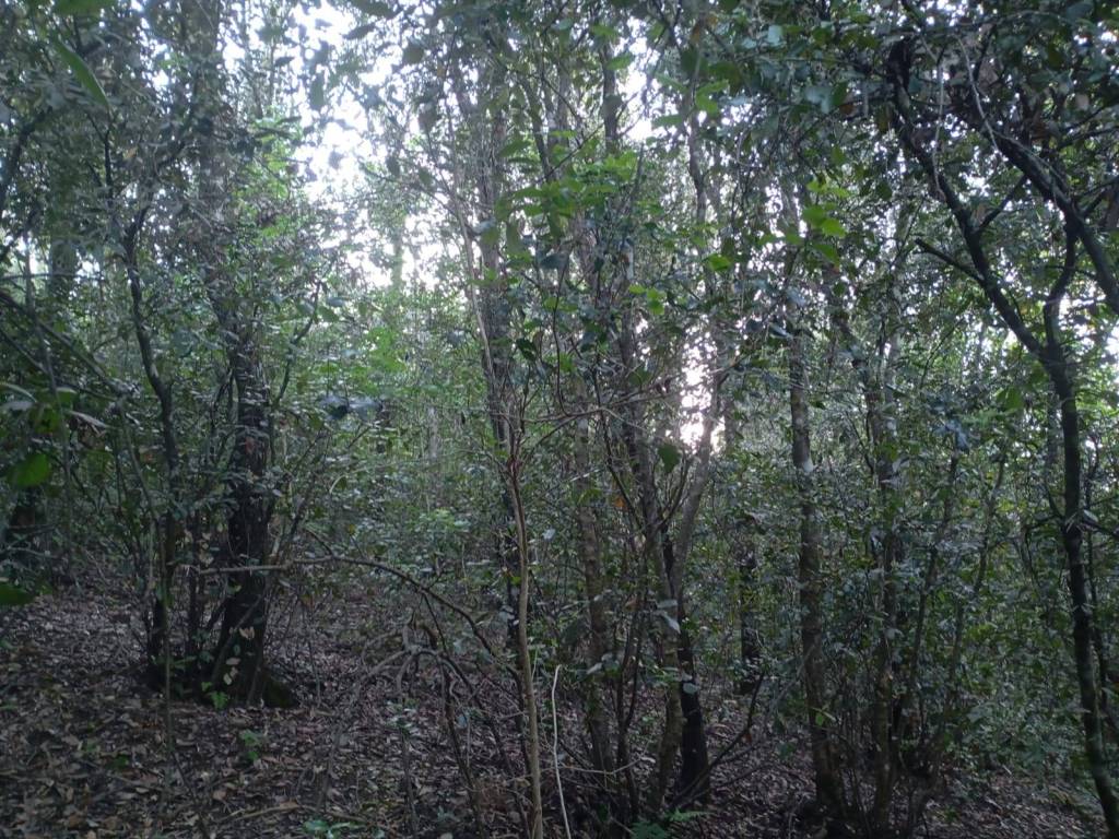 Terreno a Panicale in Via Montali - Foto 5