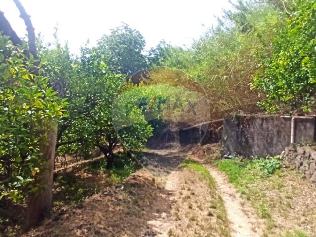 Terreno a Giarre in Contrada Coste - Spezi - Foto 3