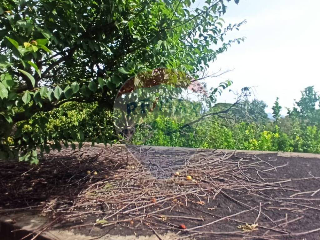 Terreno a Giarre in Contrada Coste - Spezi - Foto 4