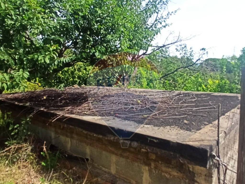 Terreno a Giarre in Contrada Coste - Spezi - Foto 5