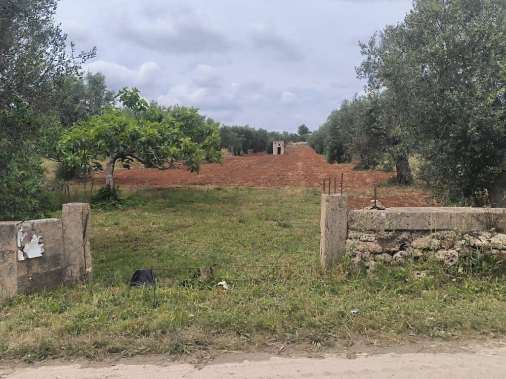 Terreno a Galatone in Strada Vicinale Spartifeudo Lusci, 6 - Foto 2