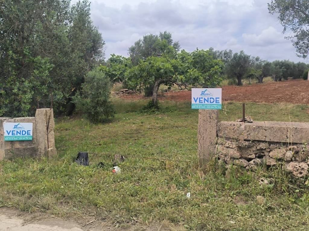 Terreno a Galatone in Strada Vicinale Spartifeudo Lusci, 6 - Foto 3
