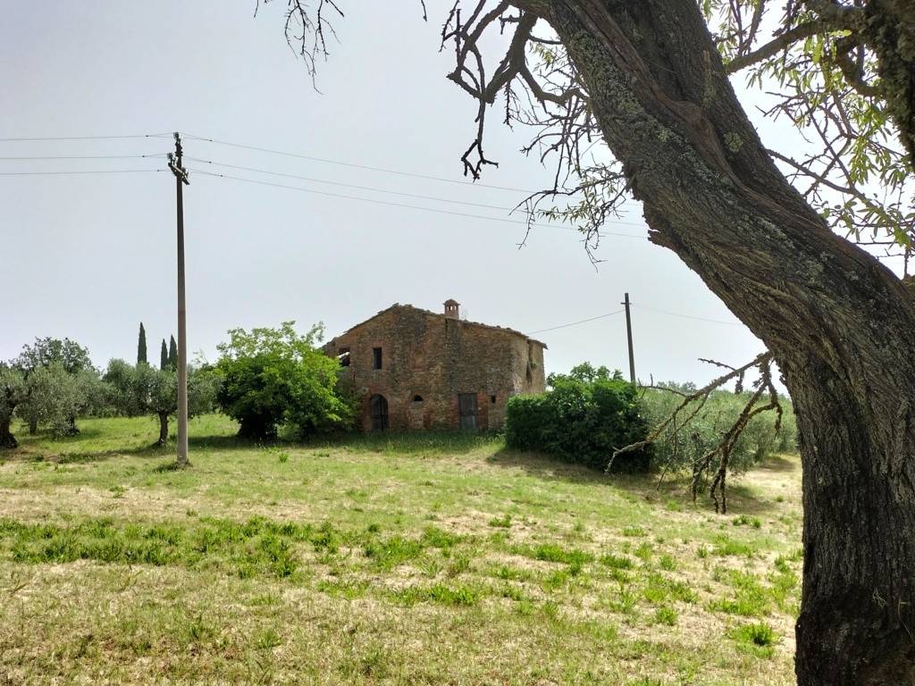 Rustico / casale a Panicale - Foto 2