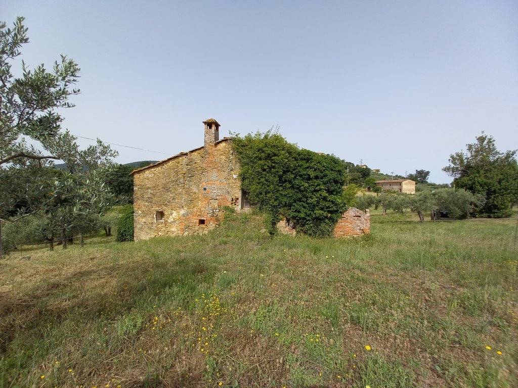 Rustico / casale a Panicale - Foto 4