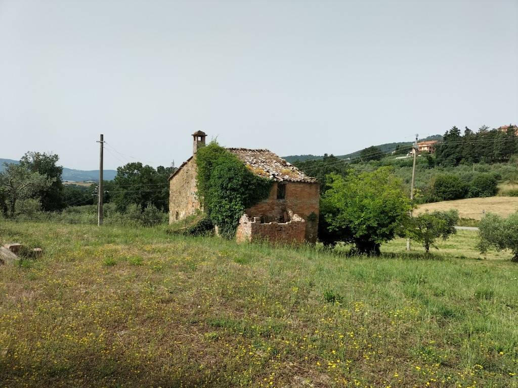 Rustico / casale a Panicale - Foto 5