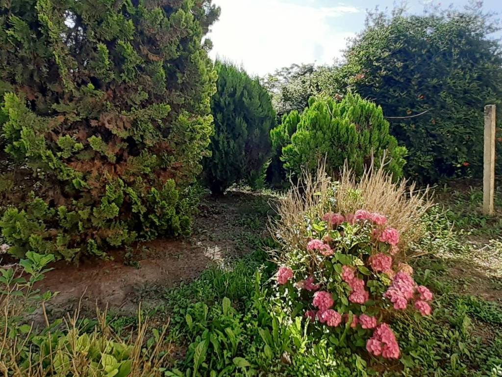 Villa a Castell'alfero in Via Conte Carlo Luigi Amico, 6 - Foto 3