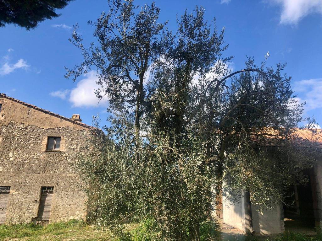 Rustico / casale a Amelia in Strada delle Zamponare - Foto 3