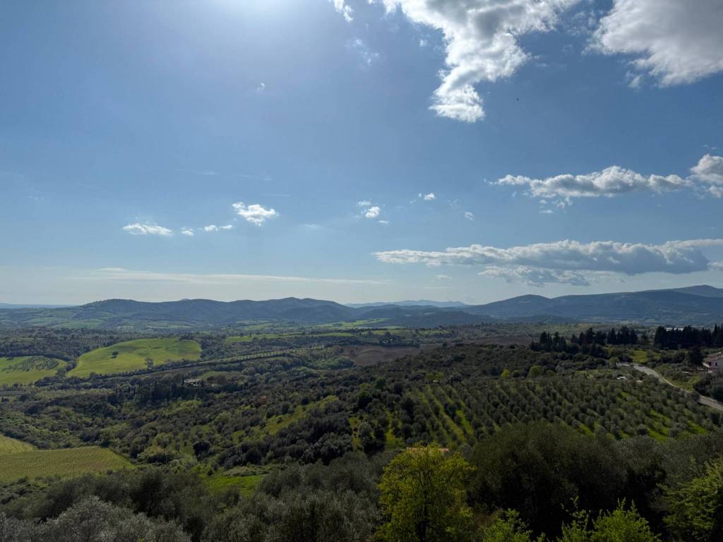 Appartamento a Campagnatico - Foto 2