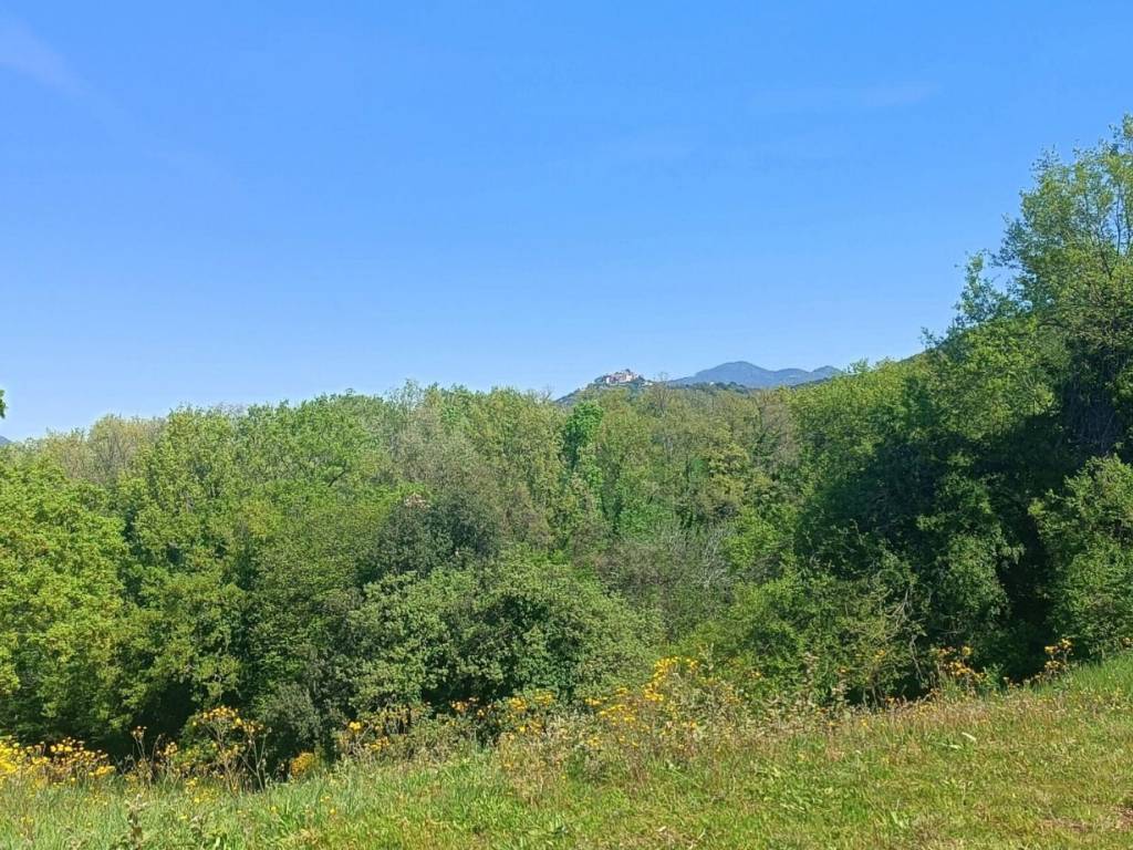 Terreno a Casperia in Località Querceto, 74 - Foto 4