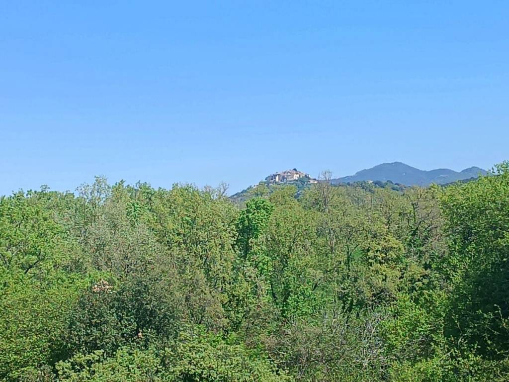 Terreno a Casperia in Località Querceto, 74 - Foto 5