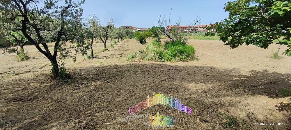 Terreno a Monsummano terme - Foto 4