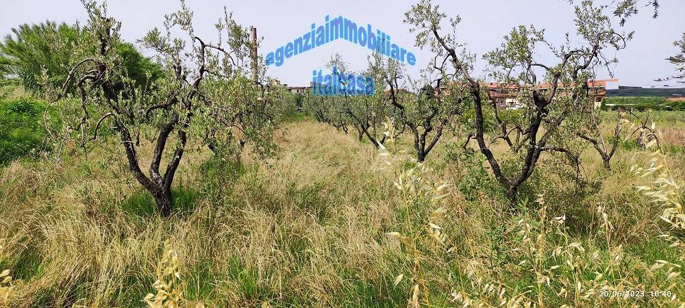 Terreno a Monsummano terme - Foto 5