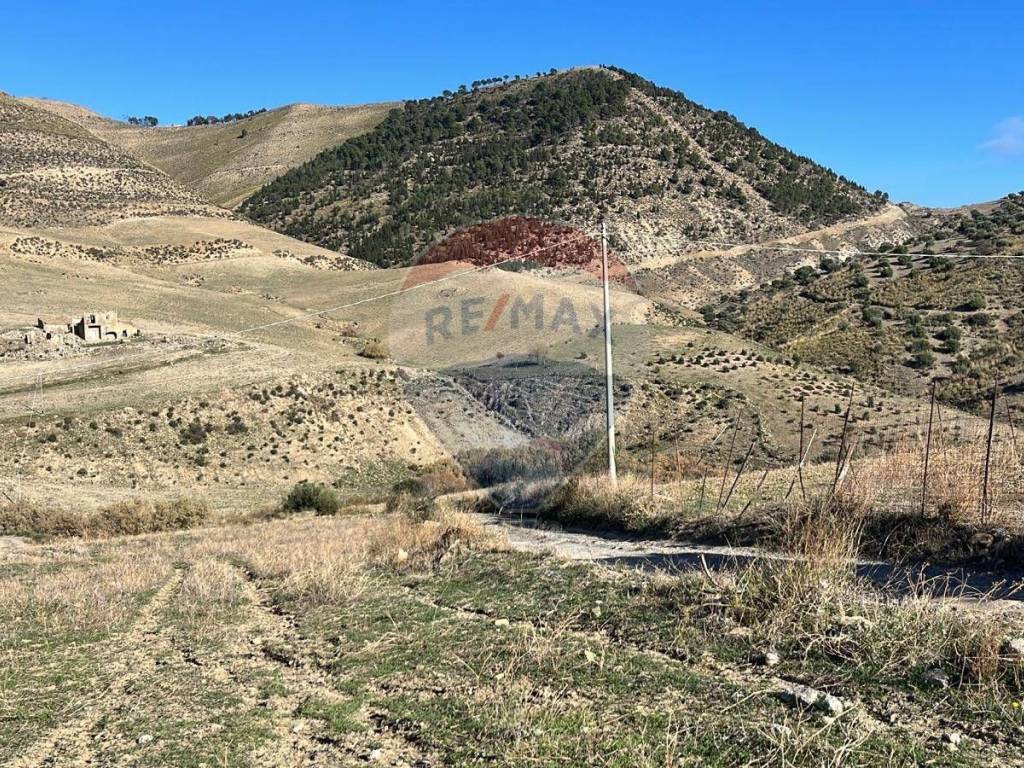 Terreno a Centuripe in C.da San Costantino - Foto 4