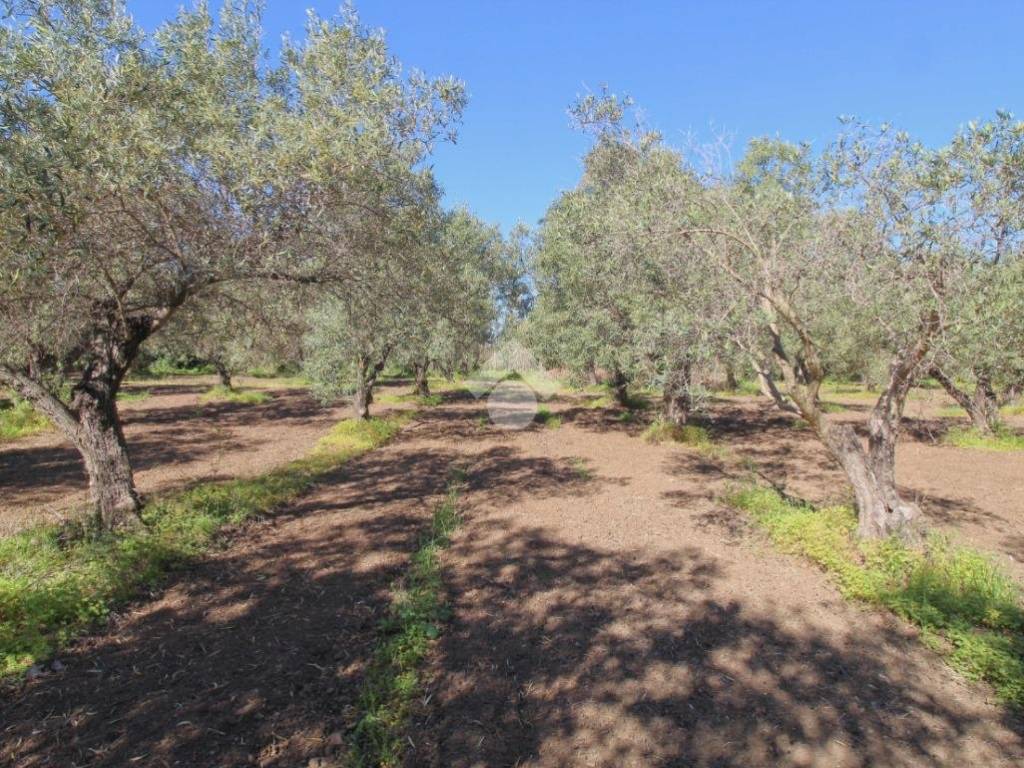 Terreno a Isola di capo rizzuto in Via Villaggio Seleno - Foto 2