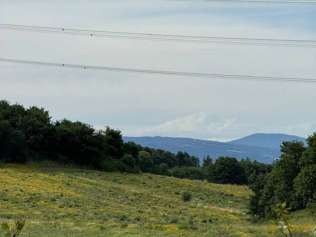 Terreno a Monterosi in Via Fonte Termini S.N.C. - Foto 2