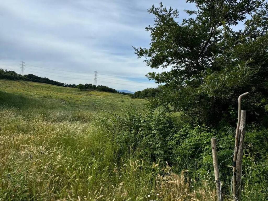 Terreno a Monterosi in Via Fonte Termini S.N.C. - Foto 5