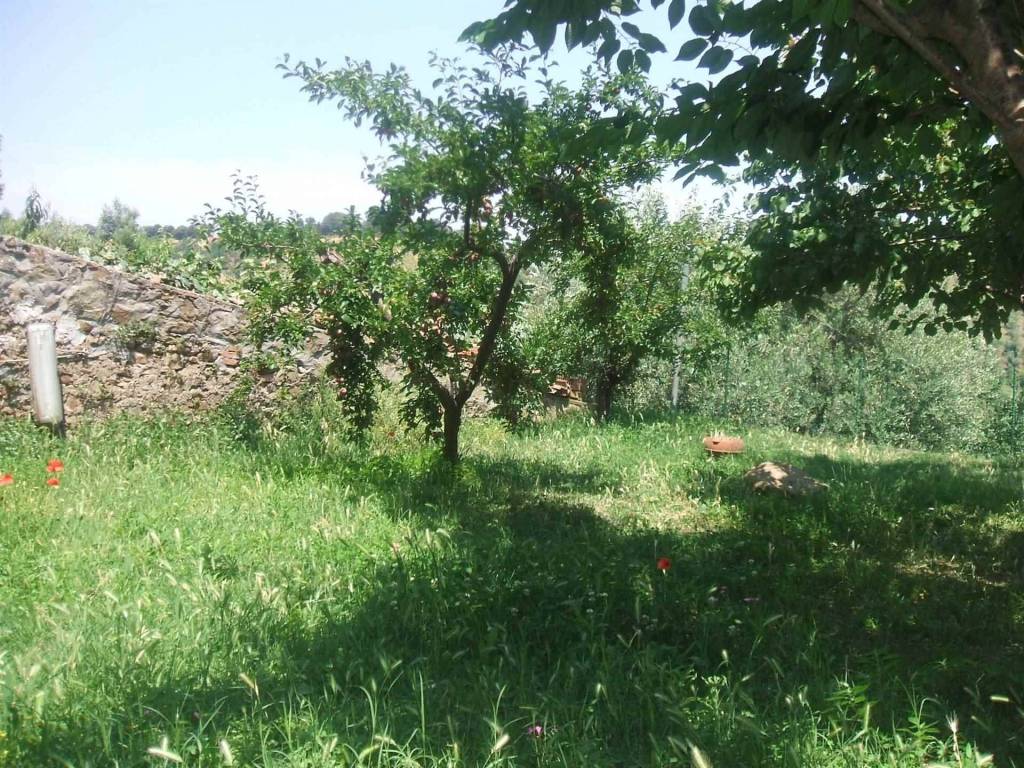 Appartamento a Magliano in toscana - Foto 3
