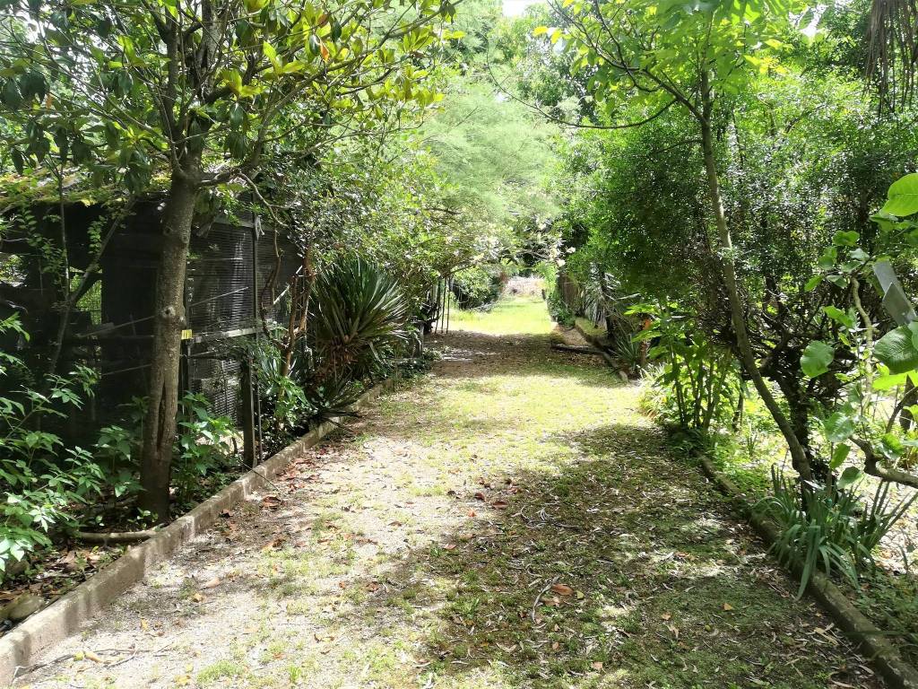 Terreno a Frosinone in Via Gaeta - Foto 2