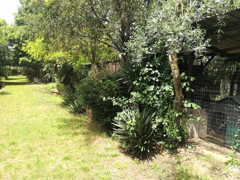 Terreno a Frosinone in Via Gaeta - Foto 5