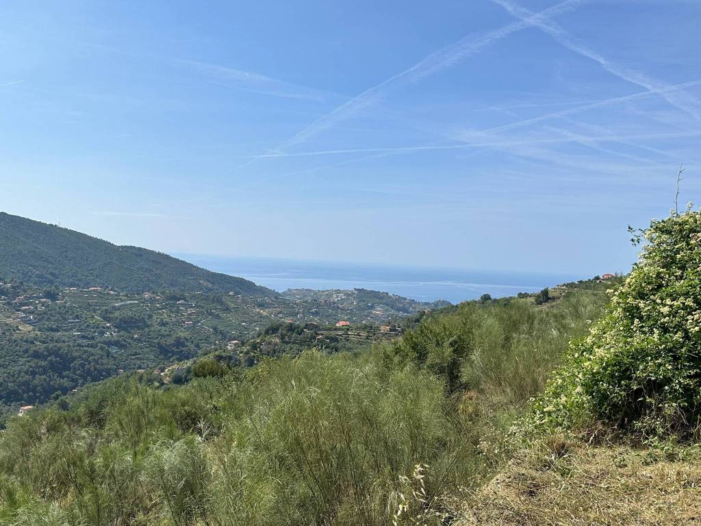 Terreno a Vallebona in Località Maciurina - Foto 3
