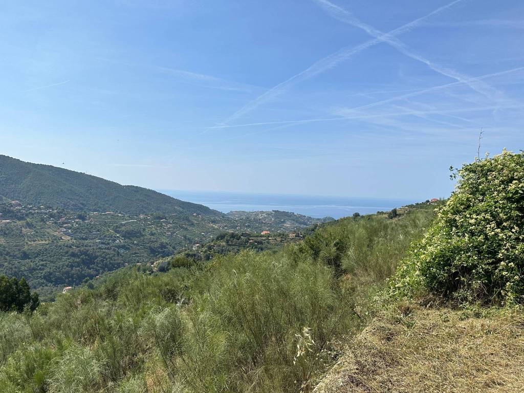 Terreno a Vallebona in Località Maciurina - Foto 5