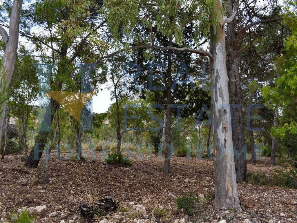 Terreno a Noto in Via Tommaso Fazello, 228 - Foto 4