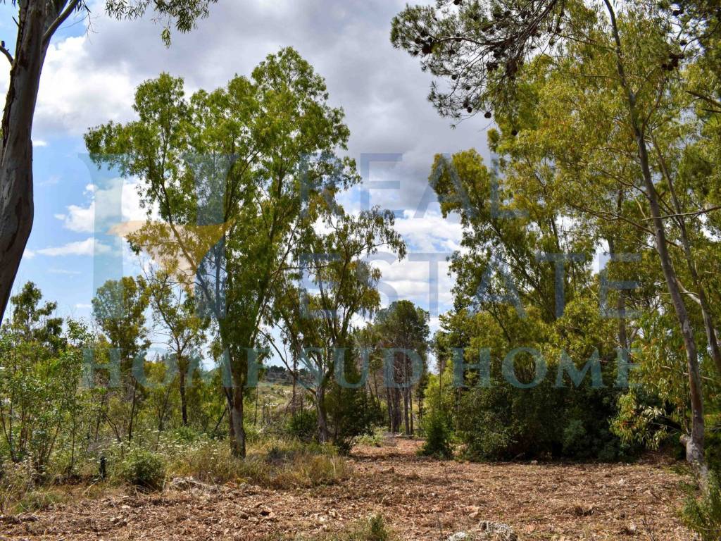 Terreno a Noto in Via Tommaso Fazello, 228 - Foto 5