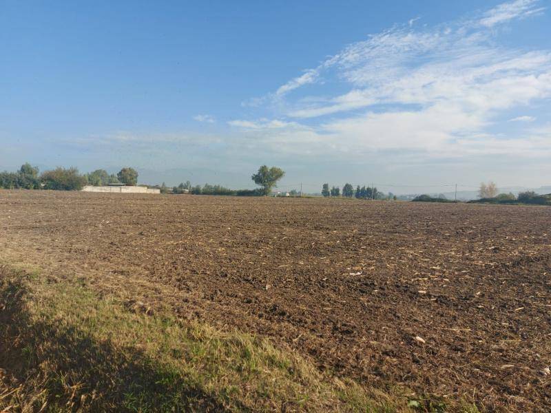 Terreno a Capaccio paestum in Via Sabatella - Foto 3