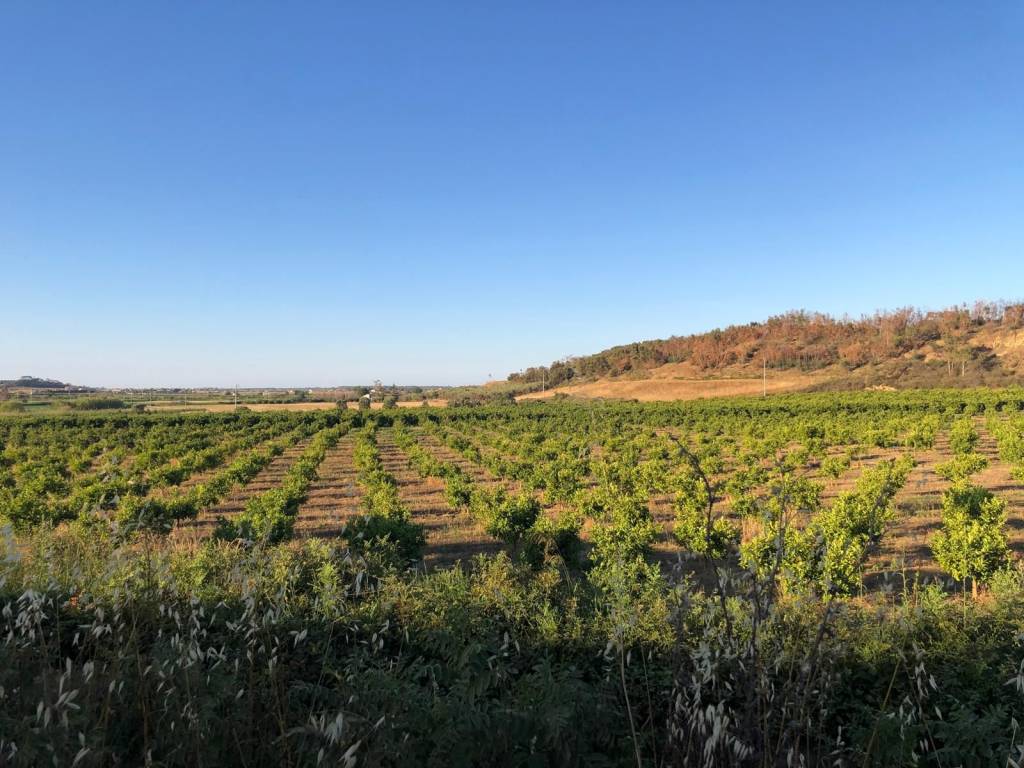 Terreno a Crotone in Via delle Dalie - Foto 2