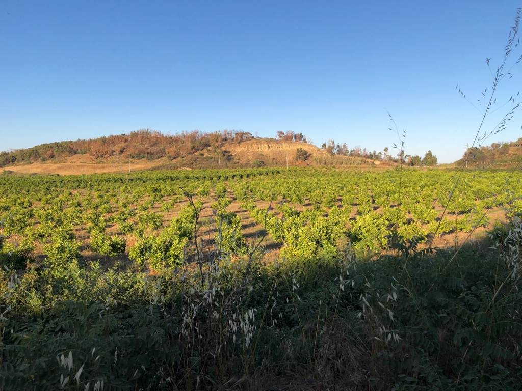 Terreno a Crotone in Via delle Dalie - Foto 3