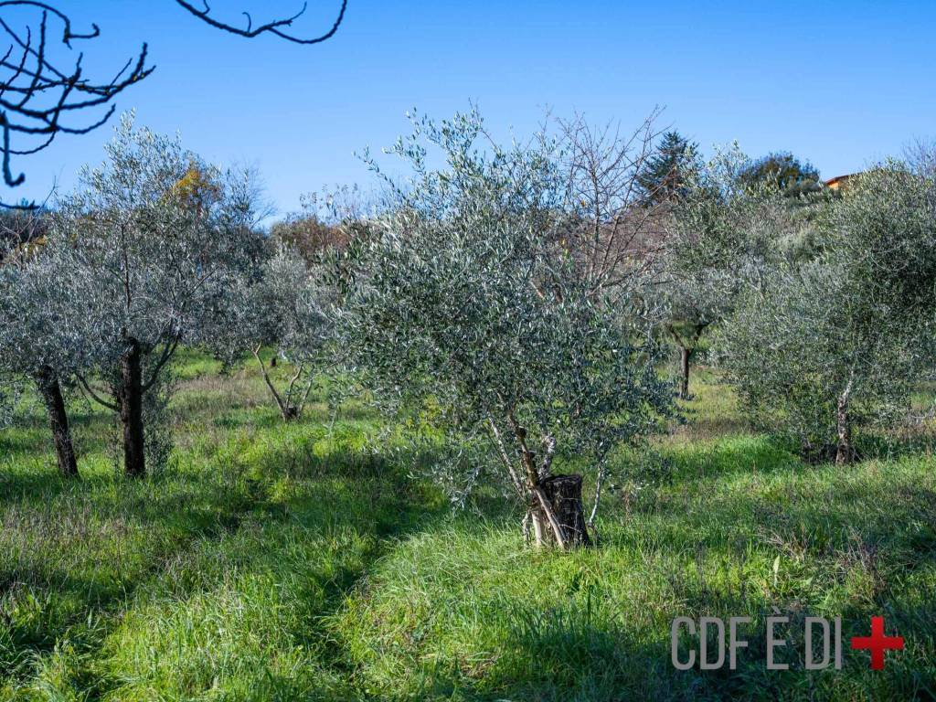 Terreno a Salisano in Via dei Prati - Foto 2