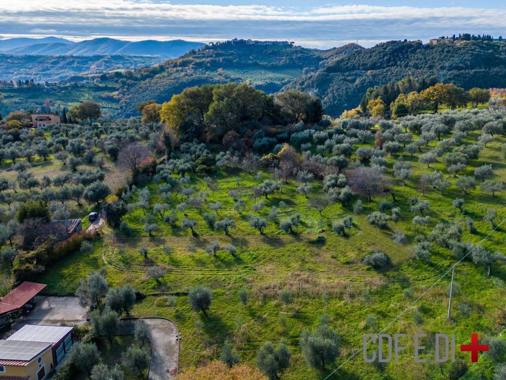 Terreno a Salisano in Via dei Prati - Foto 3