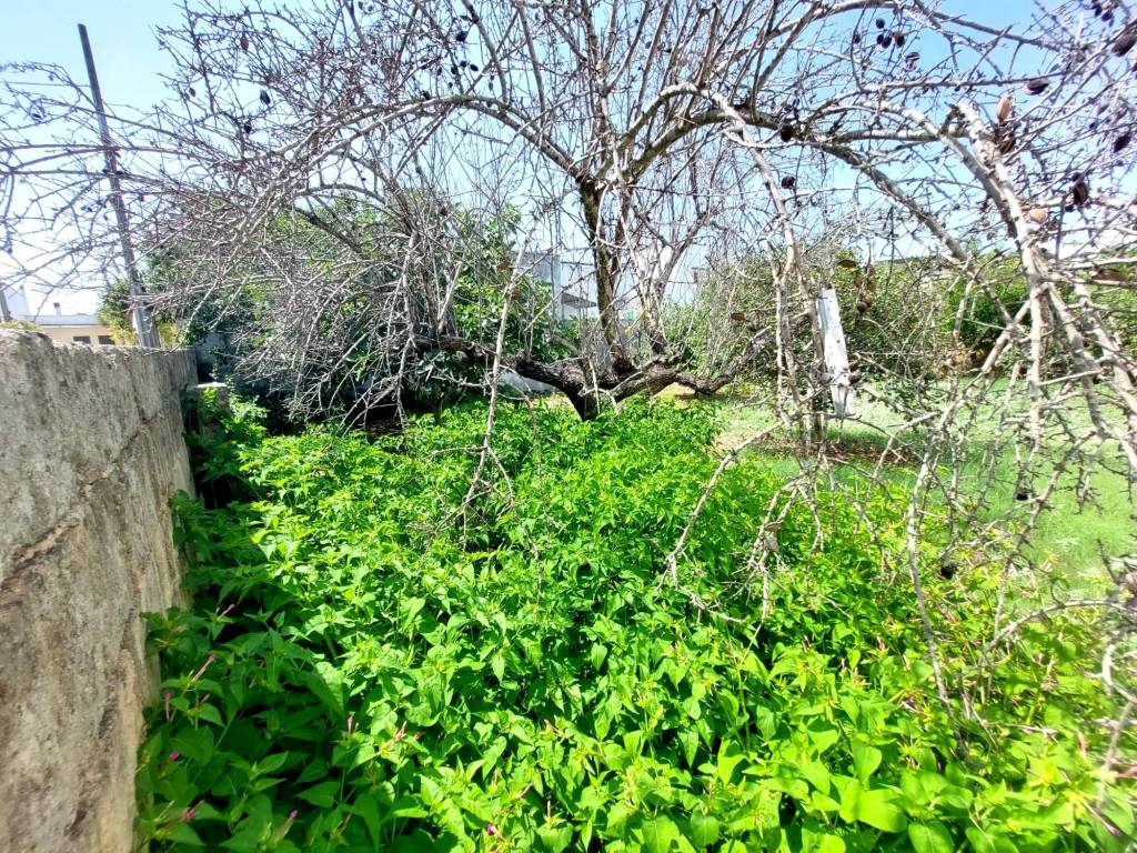 Terreno a Montesano salentino in Via Giuseppe Pisanelli - Foto 4