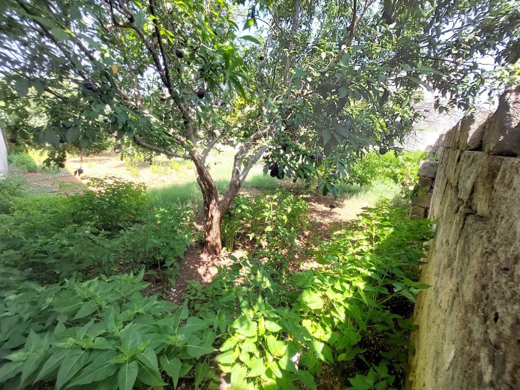 Terreno a Montesano salentino in Via Giuseppe Pisanelli - Foto 5