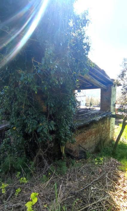 Casa indipendente a Canneto pavese - Foto 5