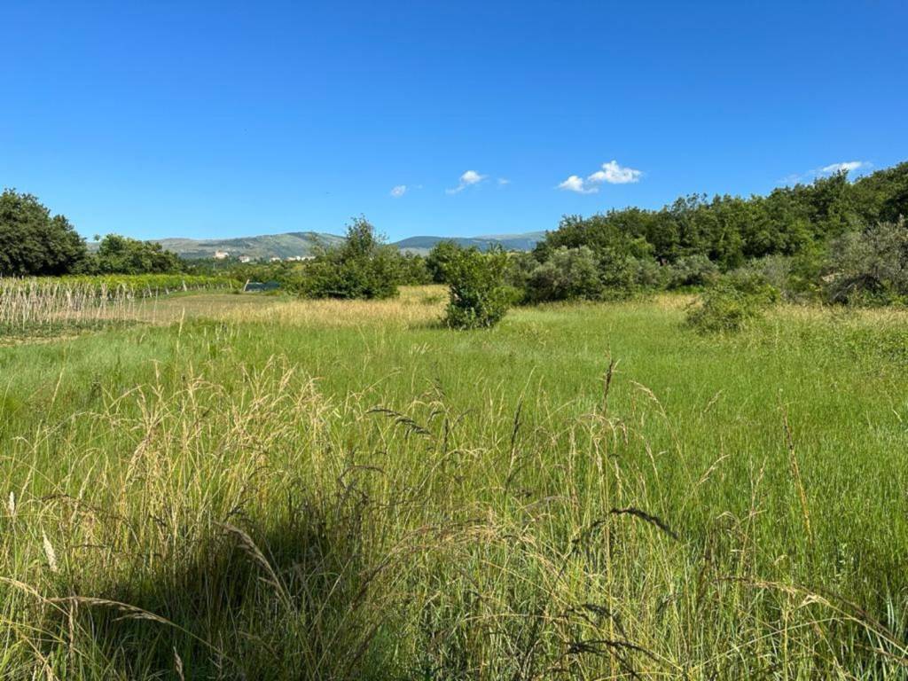 Terreno a San valentino in abruzzo citeriore in Frainibbio - Foto 2