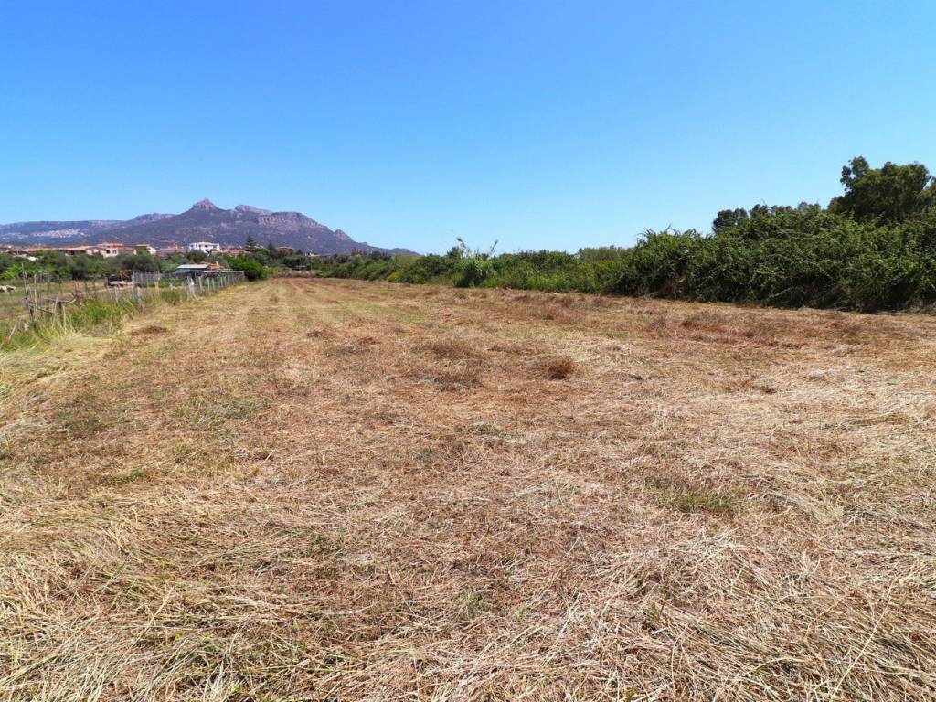 Terreno a Lotzorai in località Sa Pianisi, snc - Foto 4