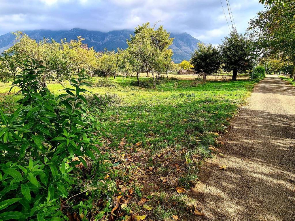 Terreno a Airola - Foto 4
