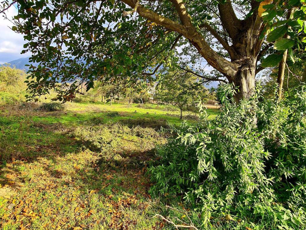 Terreno a Airola - Foto 5