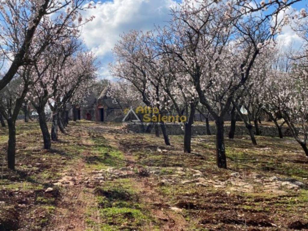 Appartamento a Ostuni in . - Foto 2