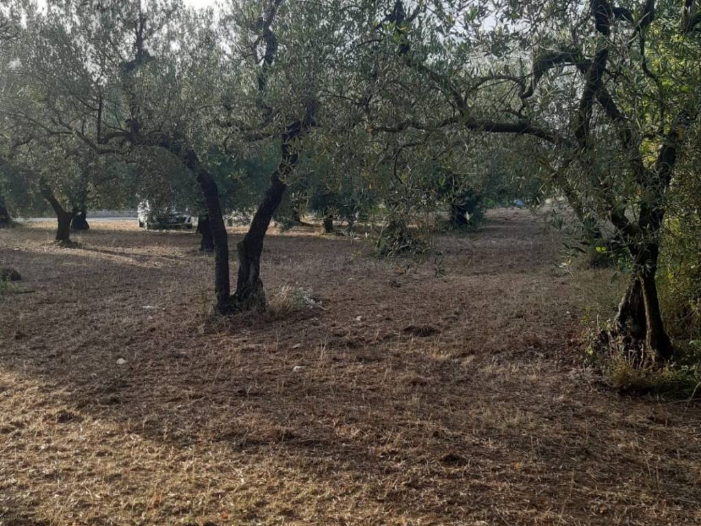 Terreno a Formia in Via Ponteritto, 61 - Foto 2