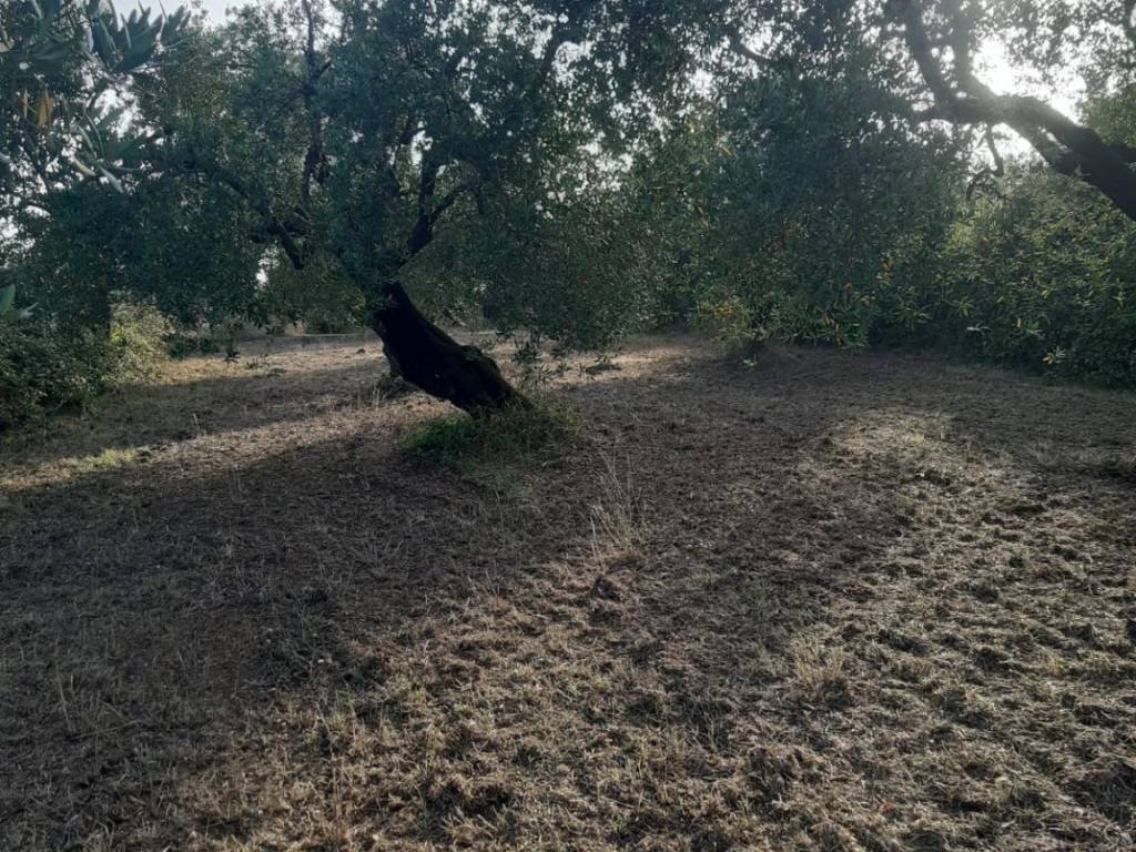 Terreno a Formia in Via Ponteritto, 61 - Foto 4
