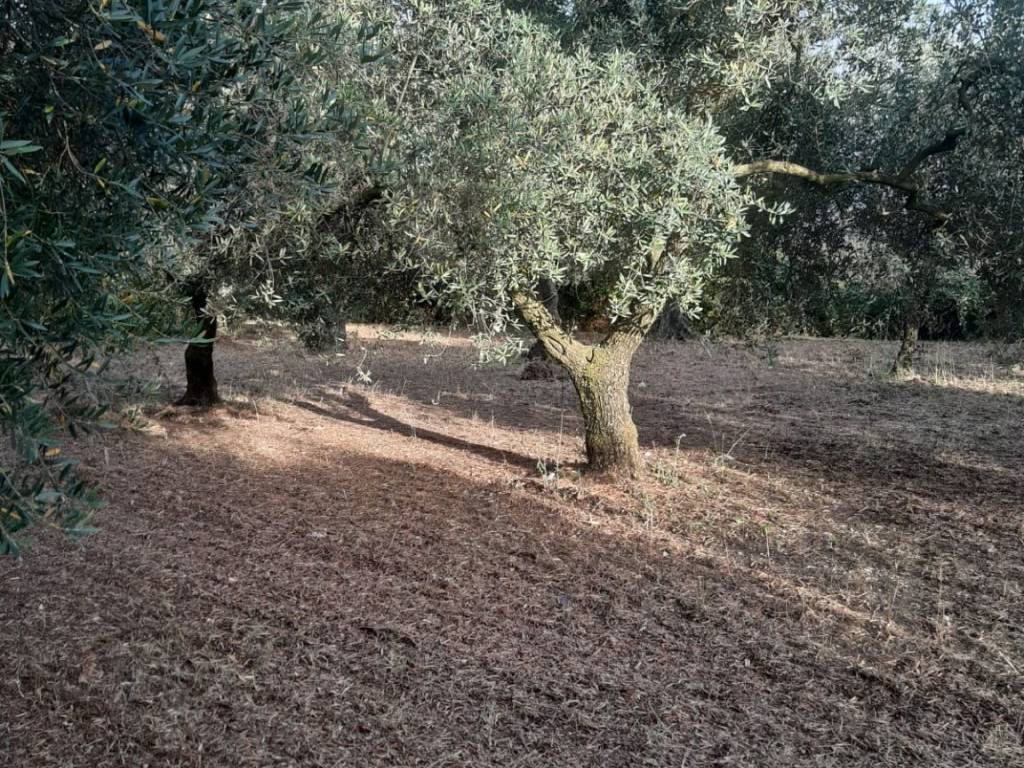 Terreno a Formia in Via Ponteritto, 61 - Foto 5