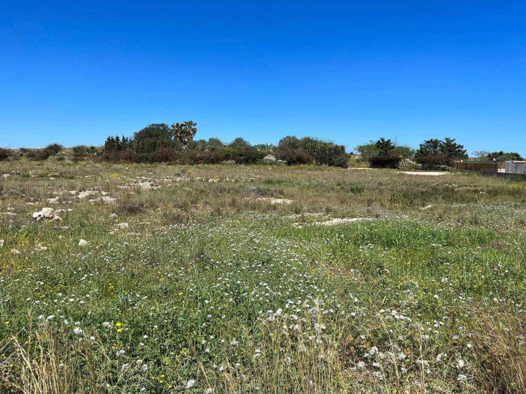 Terreno a Pachino in C.da Vulpiglia - Foto 5