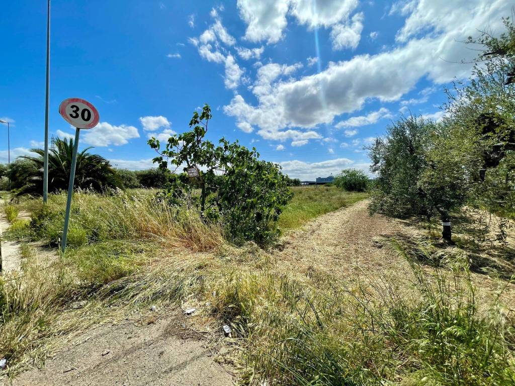 Terreno a Barletta - Foto 5