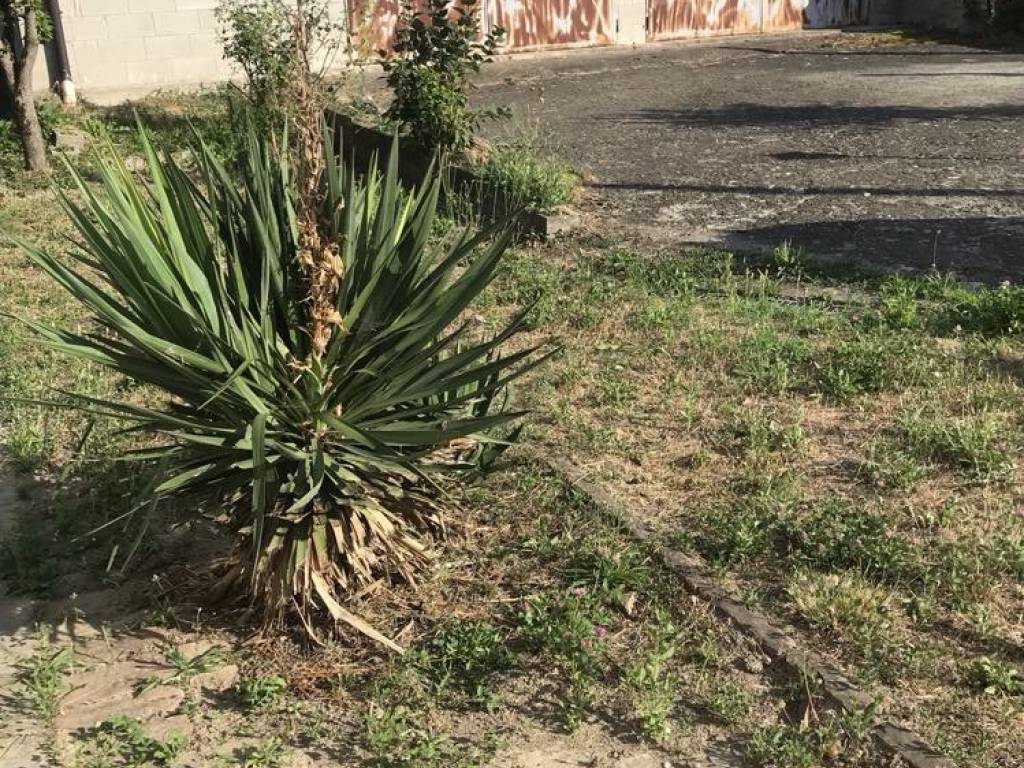 Rustico / casale a Nizza monferrato in Corso Acqui - Foto 4
