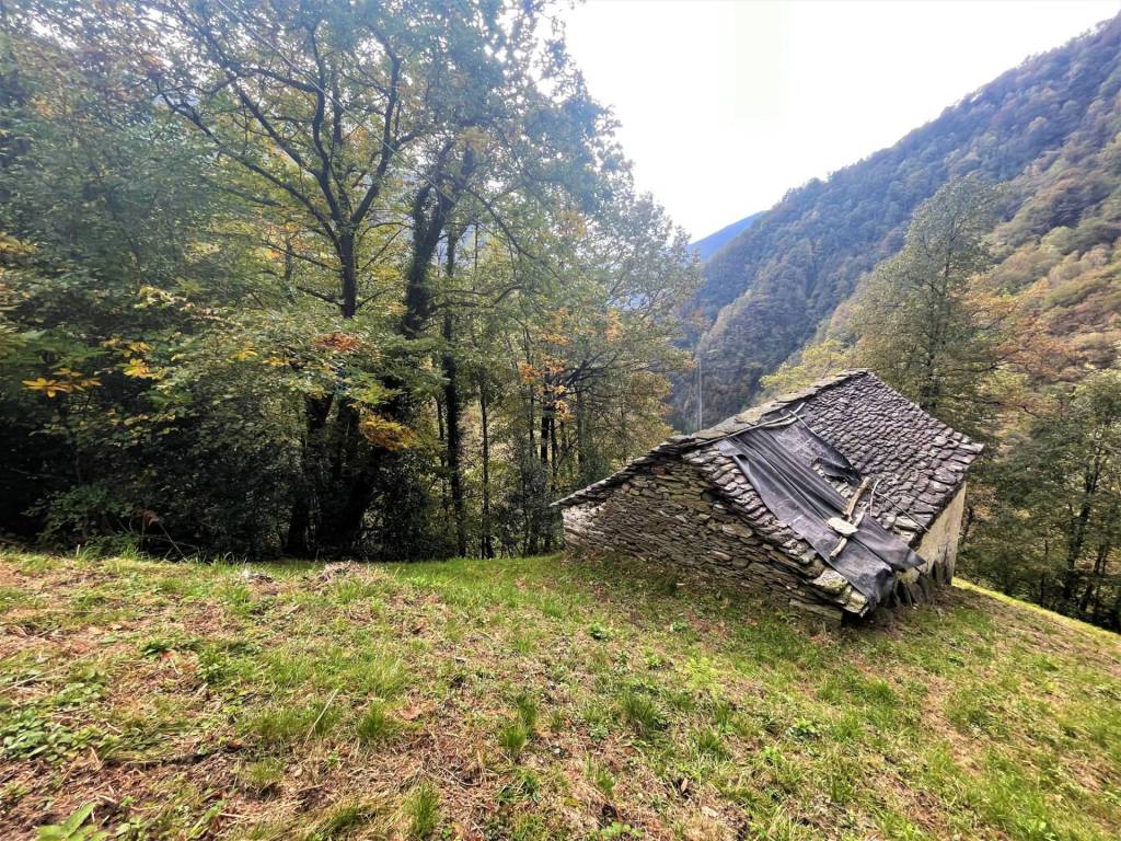 Rustico / casale a Valle cannobina - Foto 3