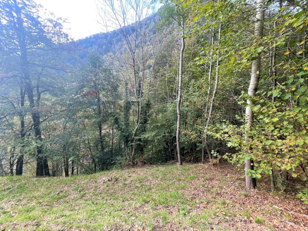 Rustico / casale a Valle cannobina - Foto 5