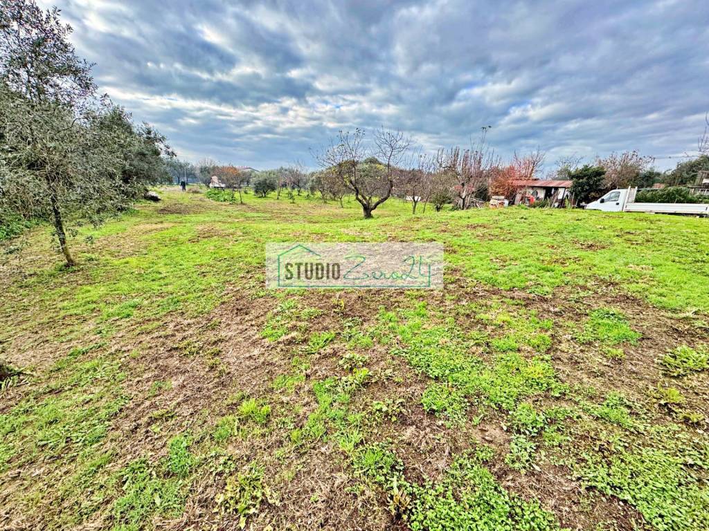 Villa a Pietrasanta - Foto 4