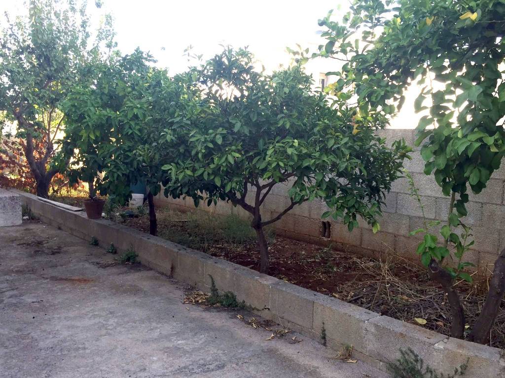Villa a Corsano in Via Taranto - Foto 5